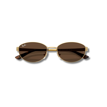 Gafas de Sol RB3774D Brown