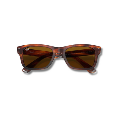 Gafas Sol RB2283 Burbank Carey Brown