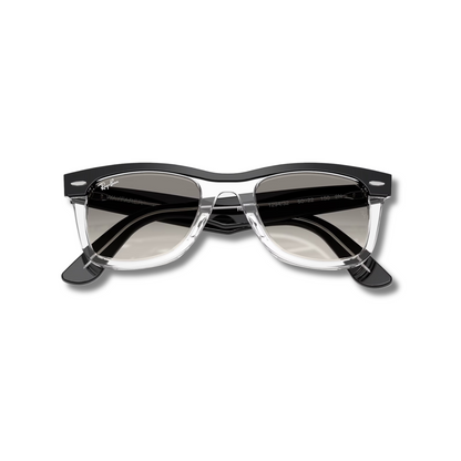Gafas de Sol RB Wayfarer Street Neat Black Transparent