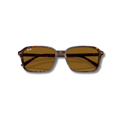 Gafas de Sol RB Raimond Carey Brown