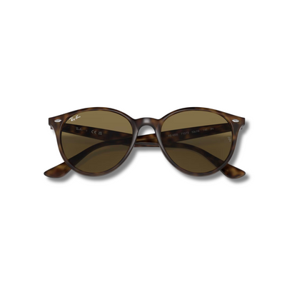 Gafas de Sol RB4305 Carey Brown
