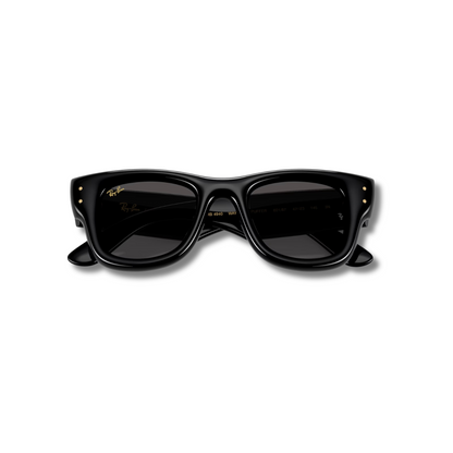 Gafas de Sol RB Wayfarer Puffer Black