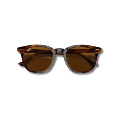 Gafas de Sol Rb Hawkeye Carey Brown