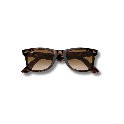Gafas de Sol RB Wayfarer Carey Brown