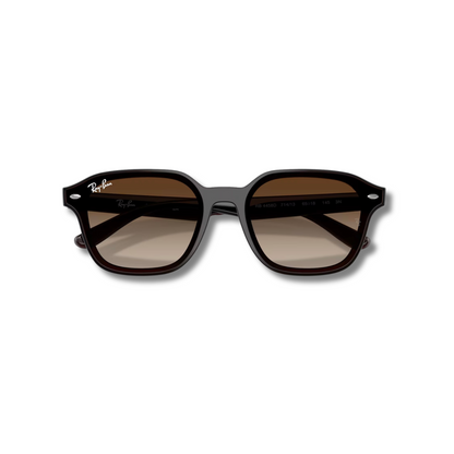 Gafas de Sol RB4458D Brown