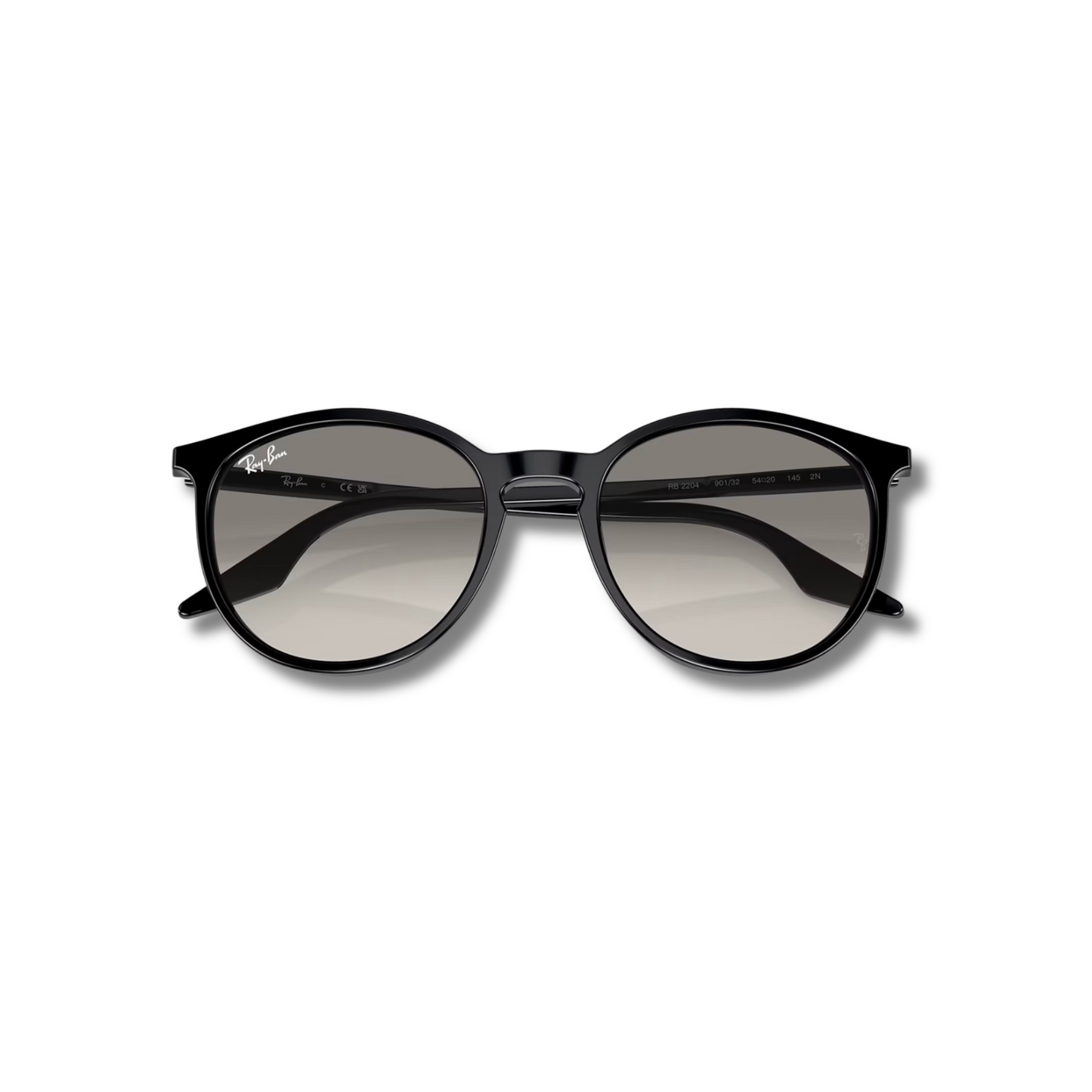 Gafas de Sol RB2204 Black