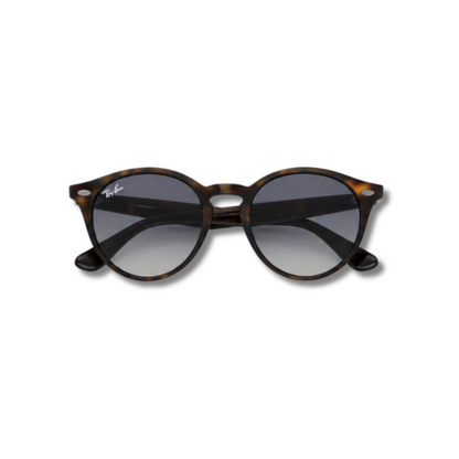 Gafas de Sol RB2180 Carey Gradient