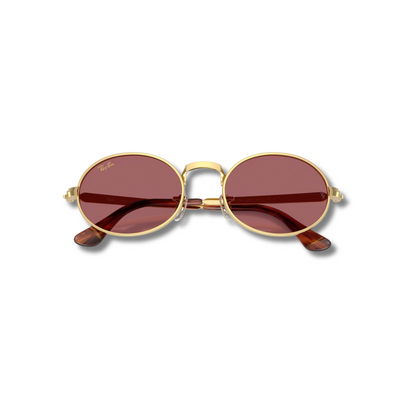 Gafas de Sol RB3931 A$AP ROCKY Pink